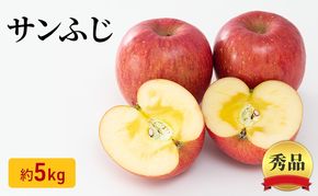サンふじりんご 秀品 約5kg 長野県産 果物類 林檎 りんご リンゴ フルーツ 小諸市