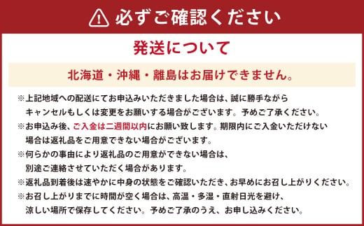 天草産活車海老 400g 12～17尾 活き車海老 車海老 車エビ 活き海老 活きエビ えび 海老 エビ 新鮮 魚介 【発送期間2024年11月05日から2025年4月30日】