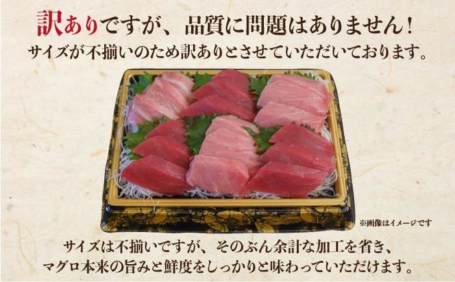 本マグロ（大トロ・中トロ・赤身）訳ありセット 1kg【ogm-025】