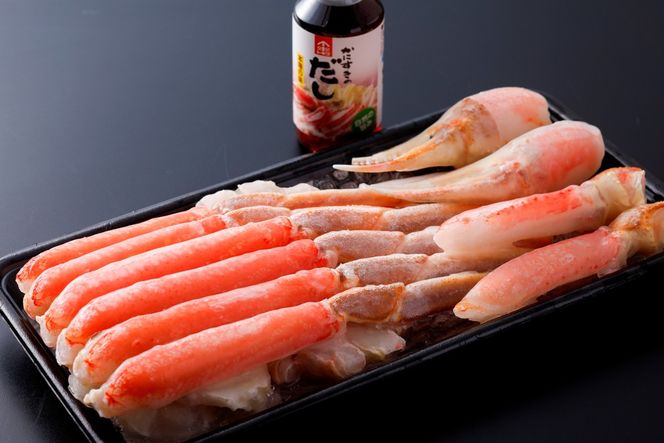 ys{OszyHzNxQIlꂽĂ̎|ɁI{YCKj@n[t|[V@Q@OD00162