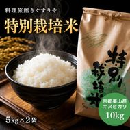 【令和8年度】 料理旅館きぐすりや 特別栽培米 キヌヒカリ 10kg 令和8年 精米 白米 お米 こめ コメ 減農薬栽培 10キロ 5kg×2 ご飯 ごはん 京都　※9月下旬より順次発送  新米26