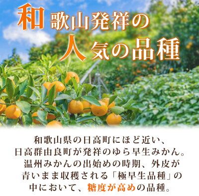 紀州和歌山有田産 ゆら早生みかん 5kg【ミカン 蜜柑 柑橘 温州みかん わせみかん】_G7097