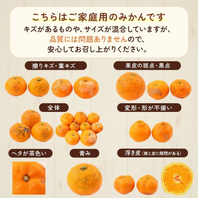 家庭用 蔵出しみかん 2.5kg+250g（傷み補償分）【光センサー選果】