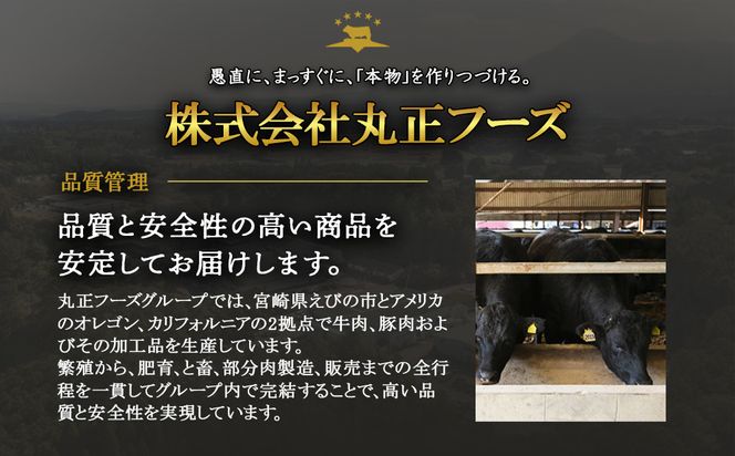 えびの高原 オールポークウインナー155g×10パック 合計 1550g 豚肉 牛肉 人気 おかず お弁当 おつまみ 総菜 冷蔵 加工品 焼肉 ギフト 九州 宮崎県 えびの市 送料無料