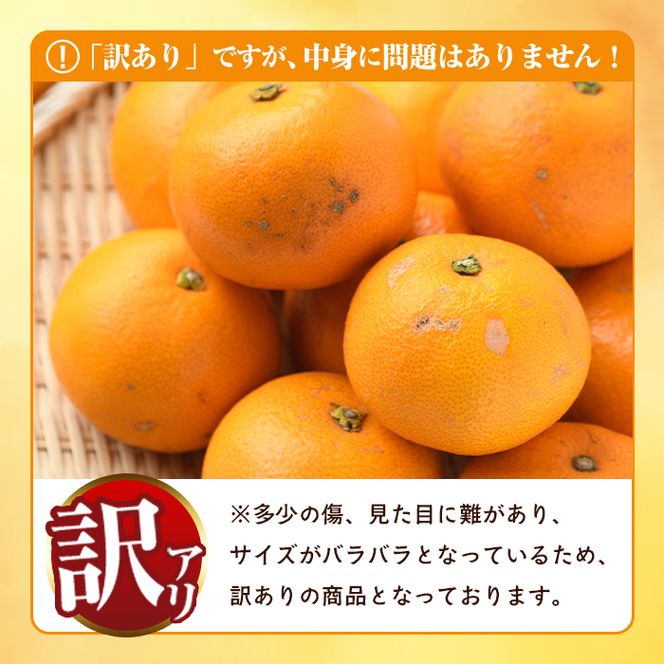 ＜先行予約受付中！2027年2月上旬以降順次発送予定＞訳あり！まなべみかん園の紅八朔(約10kg) 国産 鹿児島県産 阿久根市産 柑橘類 みかん 蜜柑 果物 ミカン デザート フルーツ 数量限定 期間限定 ご自宅用 ご家庭用【有限会社まなべみかん園】akn034-03