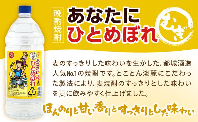 【都城酒造】あなたにひとめぼれ 麦(25度)2.7L×5本 ≪みやこんじょ特急便≫_AF-0790_99