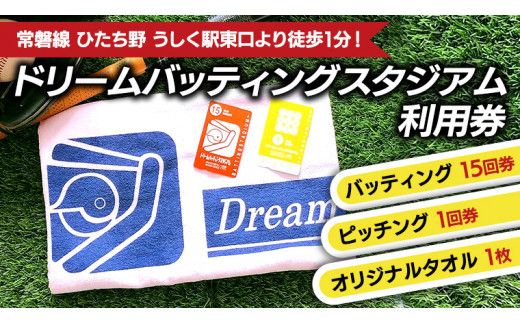 バッティング15回券・ピッチング1回券[CA002us]