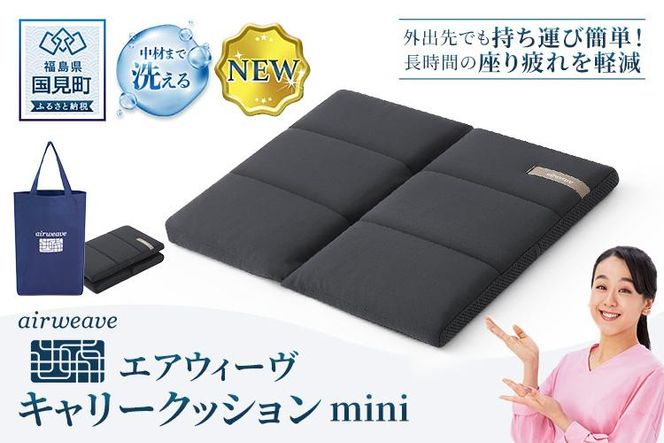 エアウィーヴ キャリークッションmini | airweave おすすめ エアウィーブ air weave 洗える 洗濯 クッション 座布団 椅子 持ち運び ベルト付き