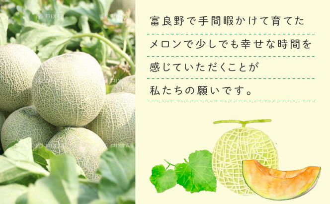 【2026年6月発送】ふらの 赤肉メロン 4～6玉入 計約8kg (相馬農園) メロン フルーツ 果物