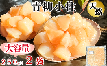 岬だよりの＜貝専門店＞天然の青柳小柱　250g×2袋 