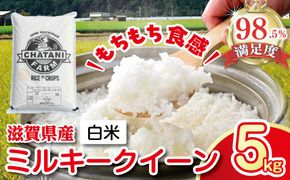 【7年産】近江米　ミルキークイーン 白米【5kg×1袋】【V009W1】