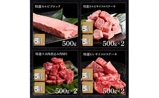 土佐和牛詰め合わせ8種Bセット 長期熟成肉 8種 詰め合わせ セット 田野屋銀象 完全天日塩付き 牛肉 肉 お肉 和牛 国産 牛 赤身 ヒレ カルビ ロース ブロック【株式会社LATERAL】 [BQAU067]