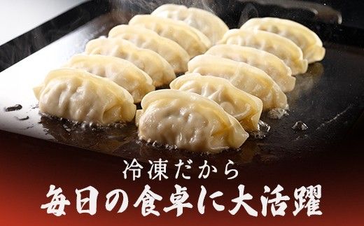 近江牛と豚肉の合挽餃子と焼売セット【HH01W】（滋賀県　近江八幡市）