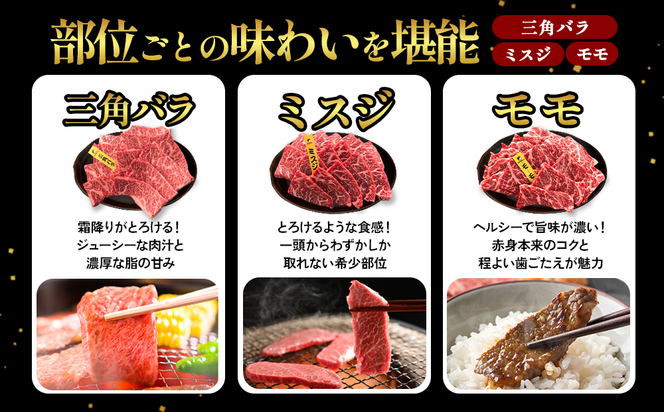 宮崎県産 黒牛 焼肉 赤身 牛肉 焼肉セット 三角バラ ミスジ モモ 3点盛り 840g(280g × 3パック)焼肉用 肉 お肉 牛 国産牛 食べ比べ セット 小分け 真空パック  冷凍 贈答 贈答用 ギフト BBQ アウトドア キャンプ  国産 国産牛 九州 宮崎県 えびの市 