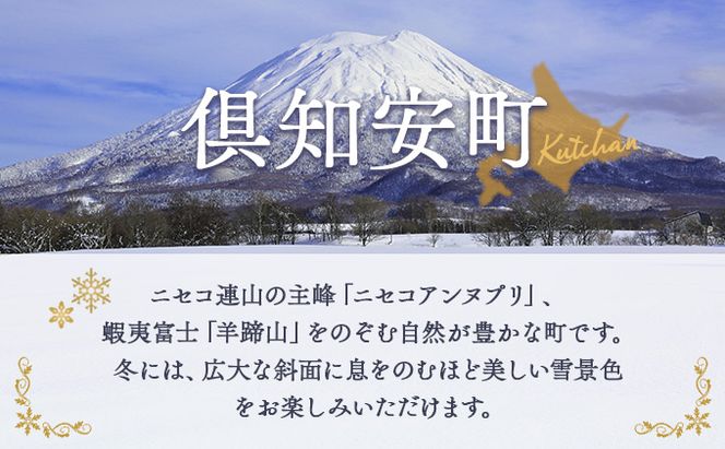 北海道倶知安町　日本旅行　地域限定旅行クーポン150,000円分 ツアー 宿泊 旅行 交通 5年 トラベル 宿泊券 チケット スキー スノボ 旅行券 観光 北海道 旅行 ニセコ 倶知安町 