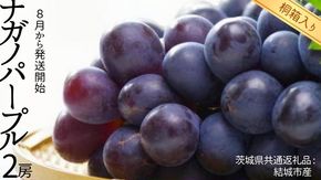 【 桐箱入り 】 ナガノパープル 2房 【2026年8月から発送開始】（茨城県共通返礼品 [ぶどう]：結城市産） 果物 フルーツ マスカット ぶどう ギフト 贈答 プレゼント 桐箱 [BI339-NT]