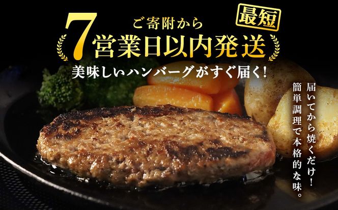  牛の里ビーフハンバーグ（110g×20個）特製ソース（20袋）の詰合せ AG059