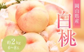 桃 2026年 先行予約 赤磐の 白桃 約2.0kg 6～8玉 JA晴れの国 糖度センサー選果 もも モモ 岡山県 赤磐市産 国産 フルーツ 果物 ギフト デザート 果肉 
