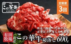 有田牧場直送 この華牛切り落とし600g 3ヶ月定期便_K20_T001_2