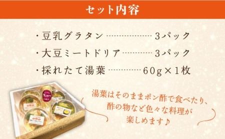 【全6回定期便】【 湯葉を贅沢使用！ 】 湯葉 三昧 セット （ 豆乳 グラタン ＋ 大豆 ミート ドリア ＋ 湯葉 60g 1枚 ） 《糸島》 【酒瀬川】 [AZJ007]