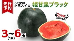 【先行予約 2027年7月中旬以降発送開始】 小玉スイカ 姫甘泉ブラック 1箱（３～6玉入り）八千代町産 黒皮 すいか スイカ 西瓜 小玉 果物 フルーツ お取り寄せ 産地直送 茨城県 [AV003ya]