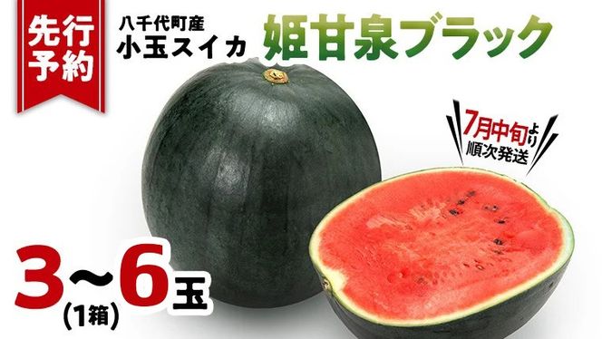 【先行予約 2027年7月中旬以降発送開始】 小玉スイカ 姫甘泉ブラック 1箱（３～6玉入り）八千代町産 黒皮 すいか スイカ 西瓜 小玉 果物 フルーツ お取り寄せ 産地直送 茨城県 [AV003ya]