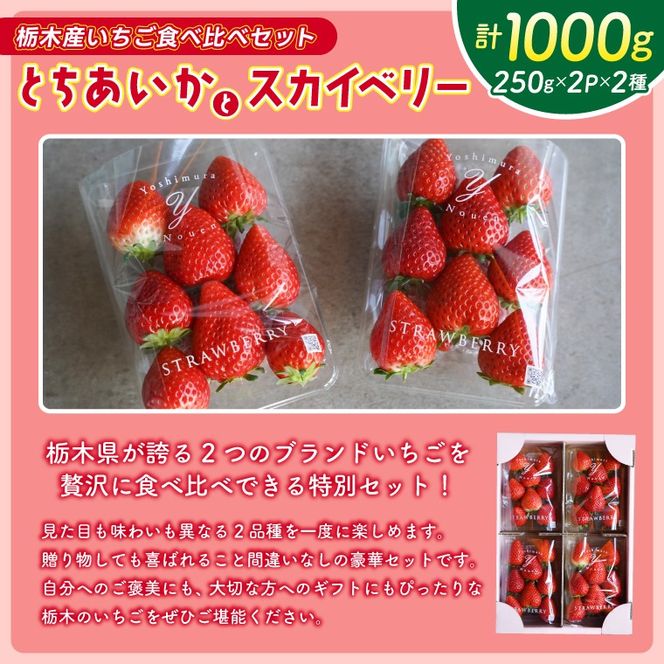 【2026年1月発送開始】【先行予約】合計1,000g 栃木県産 いちご食べ比べセット 甘くて可愛い「とちあいか」× 大粒高級「スカイベリー」 | 栃木県 ふるさと納税 いちご イチゴ 苺 果物 フルーツ とちあいか ご褒美 ハート型 熟成 スカイベリー 大粒いちご セット 食べ比べ こだわり (DS003)