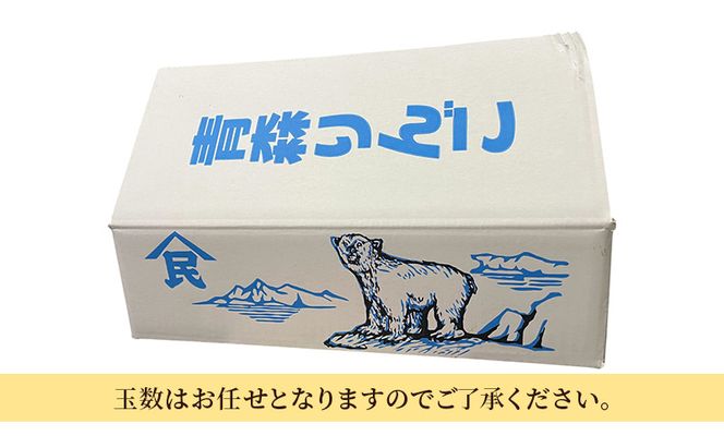【10月発送】早生ふじ 約5kg 訳あり りんご 【サンふじは糖度13度以上で選果】 林檎 フルーツ 果物 青森県 鶴田町