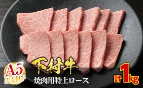 【定番】大府特産A5黒毛和牛下村牛焼肉用特上ロース　1.0kg 232238_N054-PR