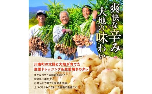 脇田農園産　生姜農家が作った生姜ドレッシング3本＆生姜焼きのタレ2本　計5本セット 【 生姜 ショウガ 国産 宮崎県産 九州産 川南町産 農家直送 しょうが 生姜焼きのたれ ドレッシング 】 [C07005]