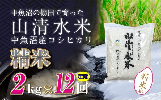 【令和8年産 新米】 【定期便／全12回】精米2kg　新潟県魚沼産コシヒカリ「山清水米」十日町市 米