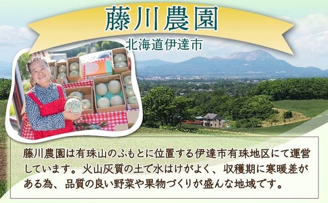 ＜2026年先行予約＞北海道産 有珠メロン 2玉 セット 赤肉 青肉 Lサイズ 1.6kg以上 各1玉 食べ比べ ツル付き 果物 めろん フルーツ くだもの 完熟 旬 ご褒美 ギフト お祝い 産地直送 お取り寄せ 北海道 藤川農園 送料無料 伊達