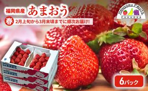【春】福岡産あまおう6パック いちご  苺 イチゴ フルーツ 果物 ※配送不可:離島