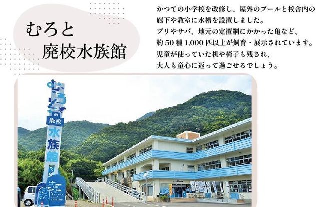 【大好評】ミルクジェラート 5個 アイス アイスクリーム  家庭用 牛乳