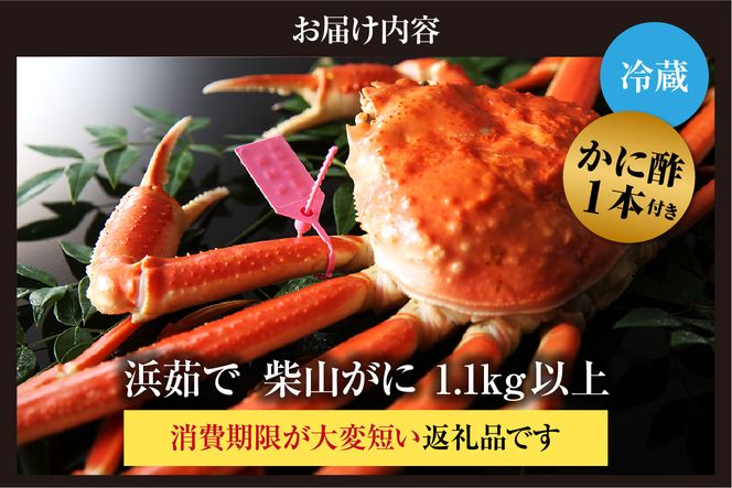 【先行予約】カネニの浜茹で柴山がに 1.1kg以上 冷蔵 【令和8年11月中旬以降発送予定】 高級 かにすき 焼きガニ カニ ボイル ふるさと納税 返礼品 おすすめ 兵庫県 香美町 香住 柴山 カネニ 06-22