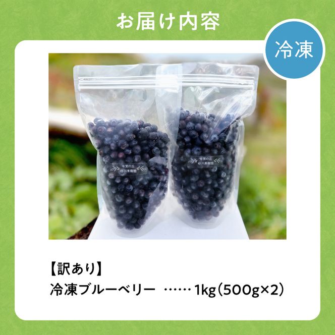 余市の砂川果樹園が贈る 訳あり冷凍ブルーベリー1Kg_Y033-0037