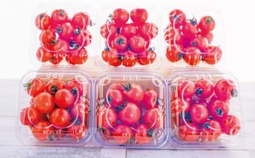 御殿場プチトマト あっこひめ 6パック（約1.2kg） ※～2026年7月発送
