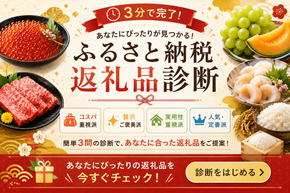 【2026年版】ふるさと納税返礼品診断でおすすめ返礼品をチェック！