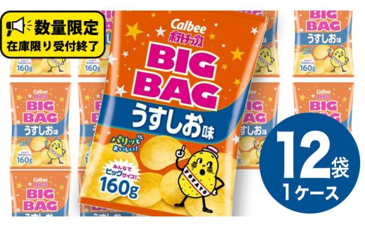 カルビー ポテトチップス BIGBAG 160g うすしお味 1ケース ( 12袋 ) ポテチ お菓子 おかし 大量 スナック おつまみ ジャガイモ じゃがいも まとめ買い 数量限定