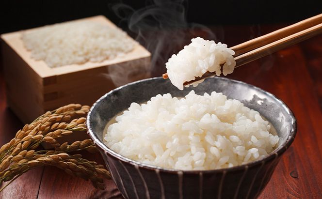 北海道産ゆめぴりか5kg＋北海道月形町産完熟トマト「桃太郎」使用『月形まんまるトマト』3本 2ヵ月連続 定期便 米 お米 果汁飲料 野菜飲料 トマトジュース 