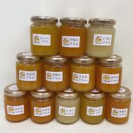 【2026年6月以降順次発送】数量限定！店主にお任せ 無添加 柑橘ジャム140ｇ×12個  DB002