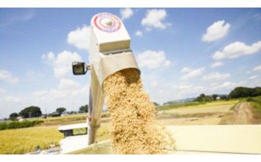 玄米 百笑米 「 瑞の穫 」 特別栽培 ミルキークイーン 25kg R7年産 米 コメ 茨城県 単一米 [AC017ci]