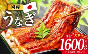 kgp0135 【特別規格】国産うなぎ蒲焼 1600g以上（大サイズ10尾）【レンチン 湯煎対応 簡単調理 鰻 ウナギ 人気総菜 日本産 土用の丑の日にも】