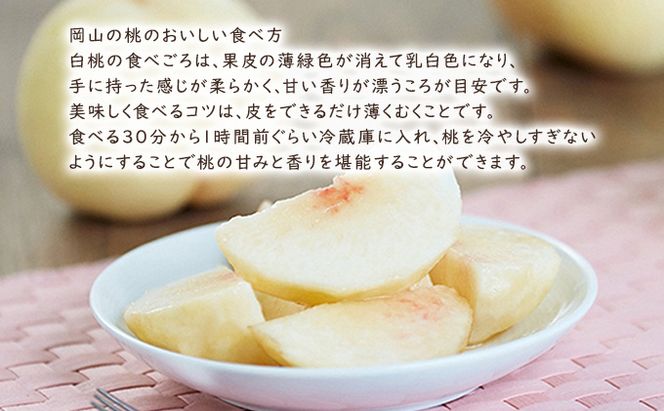 桃 【 2026年 先行予約 】 岡山県産 白麗 （ 白桃 ） 約2kg（6～7玉） 《2026年8月上旬～中旬頃出荷》 白桃 岡山 はくとう フルーツ 果物 先行予約 数量限定 期間限定 里庄町 モモ もも 