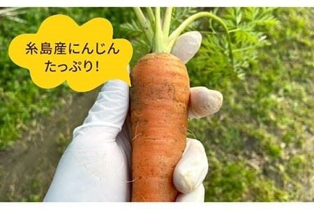 糸島そだちの にんじん 生ドレッシング（285ml×1本）《糸島》【農香美人】 [AAG014] ドレッシング ボトル 栽培期間中 農薬不使用 野菜 お試し