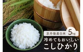 令和7年産　京都・京丹後産コシヒカリ　5㎏（5kg×1袋）　TO00123