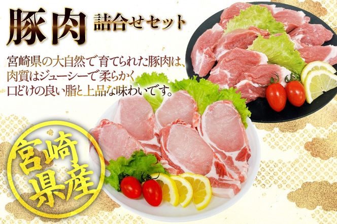 豚肉 宮崎県産豚肉 ロースカツ用 1kg ヒレカツ用 300g 詰め合わせ セット [TRINITY 宮崎県 日向市 452061324] 小分け 冷凍 豚 とんかつ ロースカツ お弁当 おかず