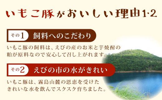 【訳あり】いもこ豚（彩） 5種盛り バラエティセット 合計2.16kg バラ バラ 小間切れ 細切れ こま切れ ロース 肩ロース しゃぶしゃぶ スライス 豚ミンチ 豚肉 いもこ豚 セット 詰合せ 生姜焼き 焼肉 サムギョプサル ポッサム 豚丼 とんかつ鉄板 ホットプレート パーティー 冷凍 宮崎県産 九州産 発送時期が選べる 送料無料