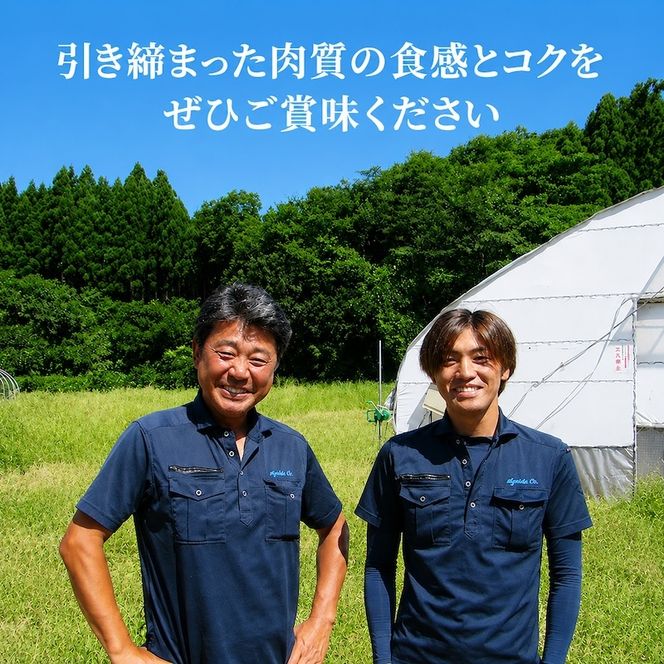 秋田県産比内地鶏肉 焼き鳥の定期便(30本×3ヶ月)(焼鳥 3ヶ月 もも肉 むね肉) 鶏肉焼き鳥 