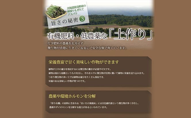 【2026年春発送】極太 グリーンアスパラ 3Lサイズ 1kg (スイートベジタブルファクトリー)